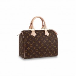 LOUIS VUITTON SPEEDY 25 M41109