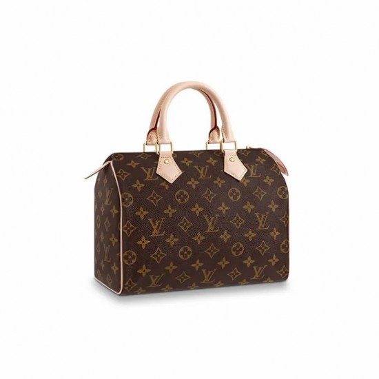 LOUIS VUITTON SPEEDY 25 M41109