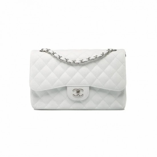 CHANEL Classic Flap Handbag SILVER METAL