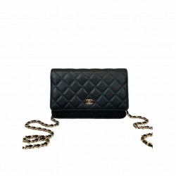 CHANEL WALLET ON CHAIN AP3054