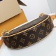 Louis Vuitton Loop M81098