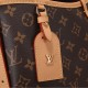 Louis Vuitton CARRYALL PM M46203