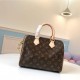 LOUIS VUITTON SPEEDY 25 M41109