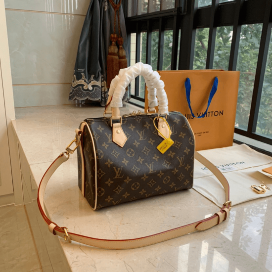 LOUIS VUITTON SPEEDY 25 M41109