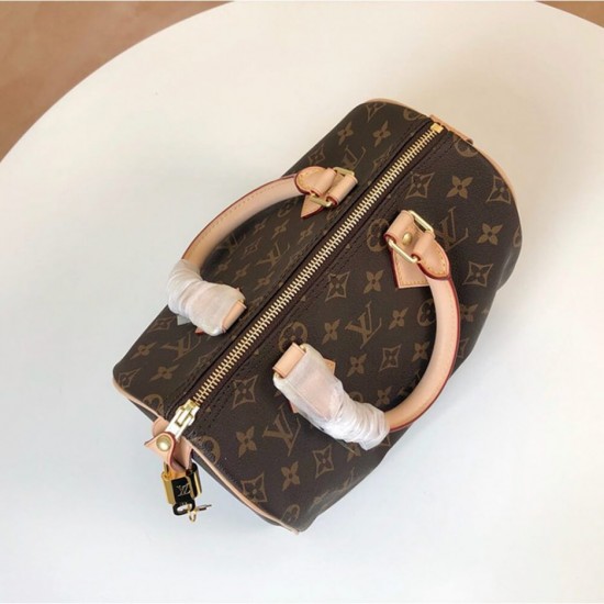 LOUIS VUITTON SPEEDY 25 M41109