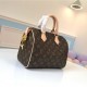 LOUIS VUITTON SPEEDY 25 M41109