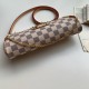 LOUIS VUITTON EVA HANDBAG WALLET ON CHAIN N55214