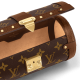 LOUIS VUITTON Papillon Trunk