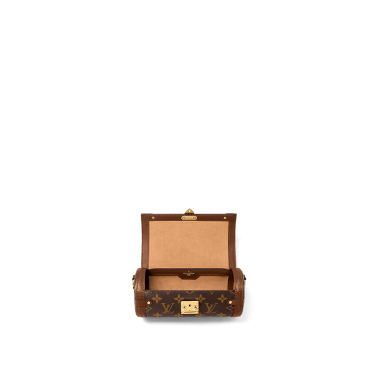 LOUIS VUITTON Papillon Trunk