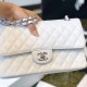 CHANEL Classic Flap Handbag SILVER METAL