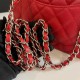 CHANEL MINI FLAP BAG A01116