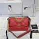 CHANEL 19 HANDBAG AS1160