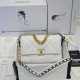 CHANEL 19 HANDBAG AS1160