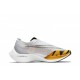 Nike ZoomX VaporFly “BRS”