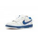 Dunks Low SB “Medicom”