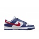 Nike Dunk Low “USA”