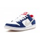 Dunk SB Low Ishod Wair "BMW"