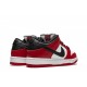 SB Dunk Low Pro “Chicago”