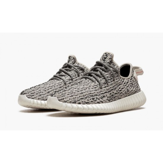 Yeezys Boost 350 “Turtle Dove”