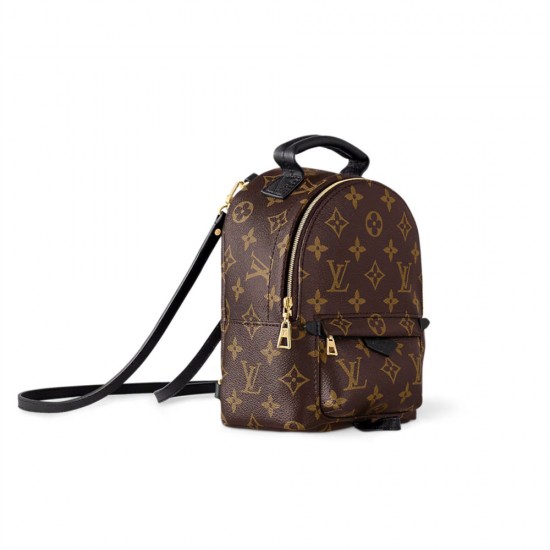 LOUIS VUITTON Palm Springs Mini M44873