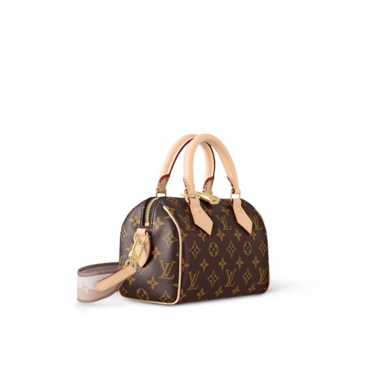 LV Speedy Bandouliere 20 Handbag M46222