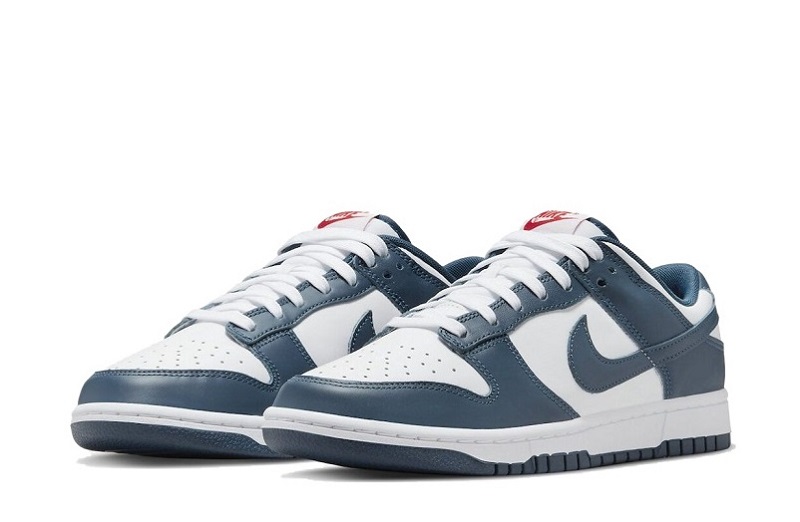 SB Dunk Low Valerian Blue Reps for Sale (3)