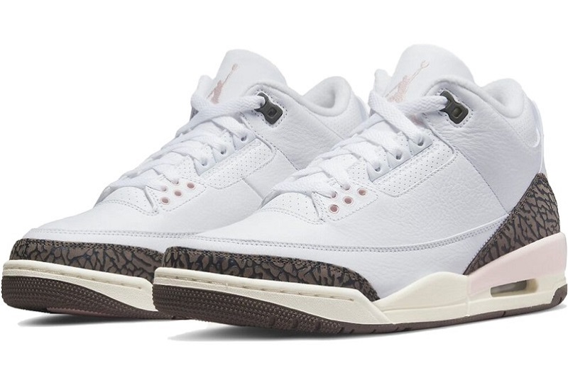 Air Jordan 3 Neapolitan Reps  (3)