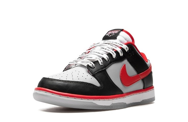 Nike SB Dunk Low CAU Reps (4)