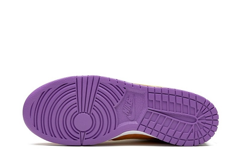 Dunk PRM Low SP Viotech 2019 Reps (5)