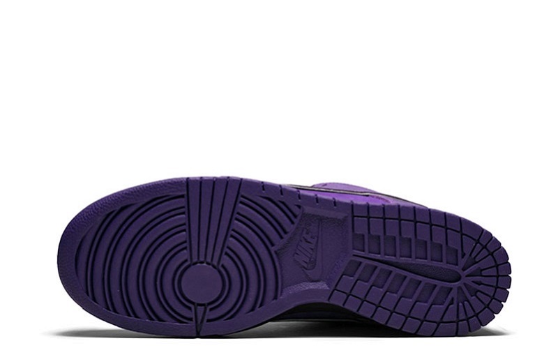 Concepts x SB Dunk Low Purple Lobster Reps (5)